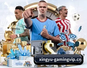 实时比分与赛程查询 | XingYu